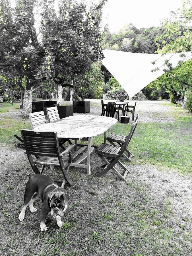 Escapade Champetre Bed & Breakfast Hauteville-sur-Fier Exterior photo